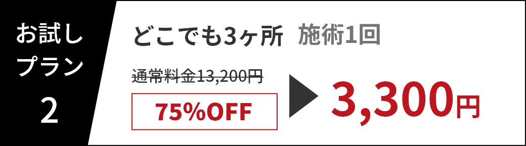 お試しプラン2