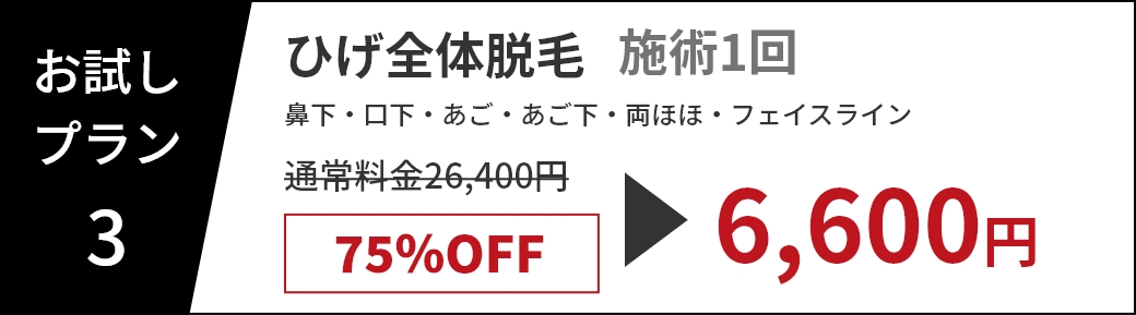 お試しプラン3